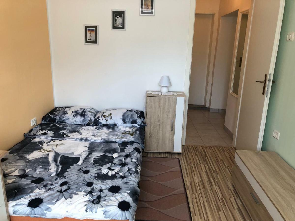 Apartma Mahnic ポストイナ エクステリア 写真