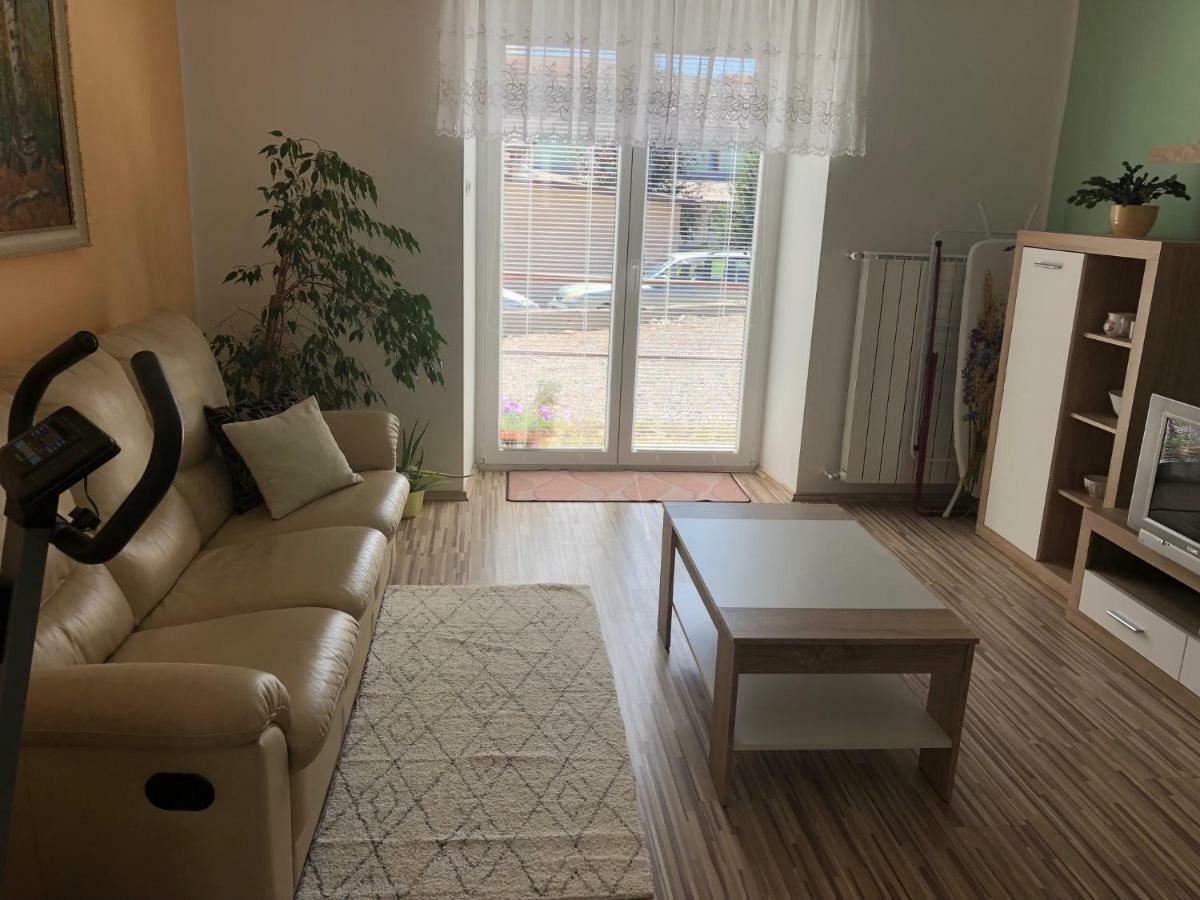 Apartma Mahnic ポストイナ エクステリア 写真