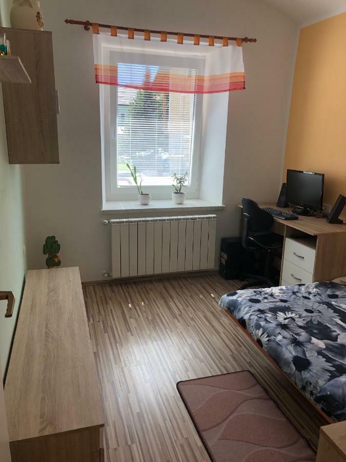Apartma Mahnic ポストイナ エクステリア 写真
